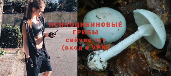 синтетический гашиш Бородино
