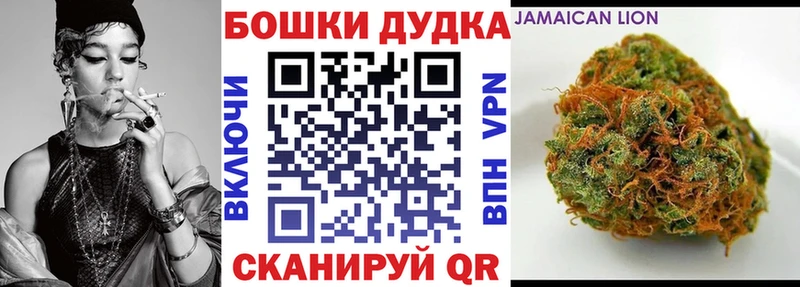 закладки  Оса  мега сайт  Бошки Шишки гибрид 